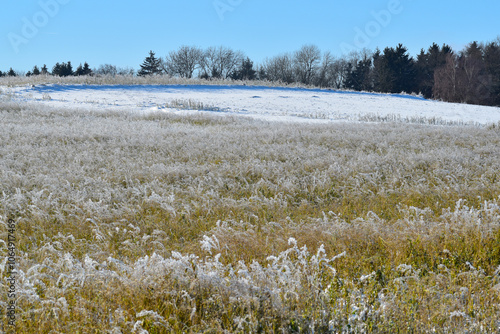 Raureif, Eiskristalle, Zwischenfrucht photo