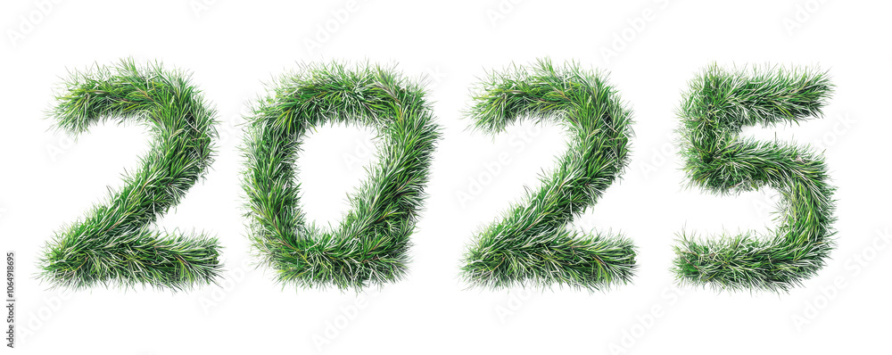 2025 Lettering number made from fir tree branches isolated on transparent background, PNG. Clipart template 2025 Lettering number made from fir tree branches isolated on transparent background, PNG. Clipart template