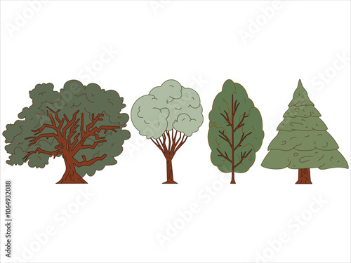 Summer season trees woods phase fertile plants forest seasonal flora leaves natural botanical nature tree colorful icon collection design set