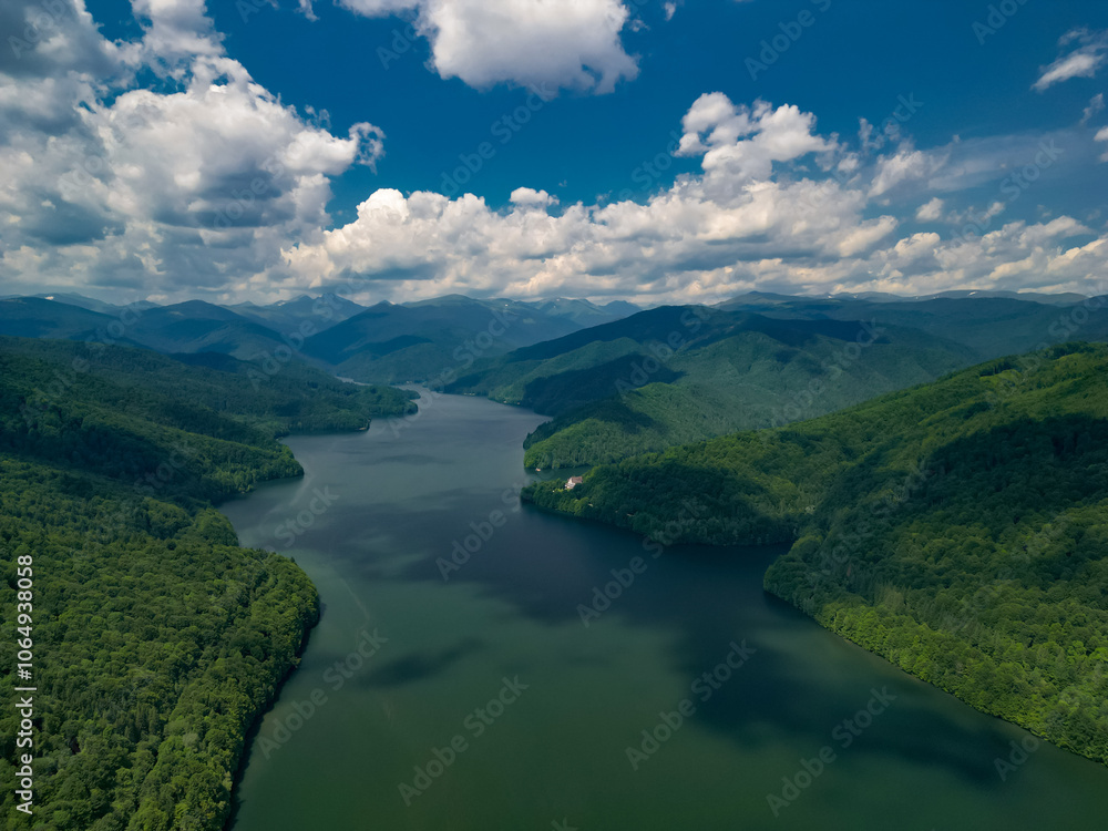 The Vidraru hydroelectric dam seen from the drone. Huge mountain lake at the edge off a big and wild forest in the summer season The Vidraru hydroelectric dam seen from the drone. Huge mountain lake at the edge off a big and wild forest in the summer season