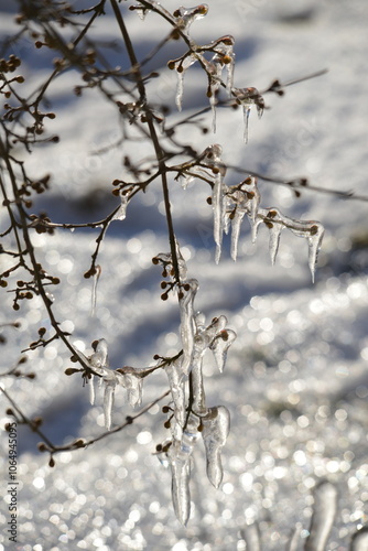 Eis, Eiszapfen