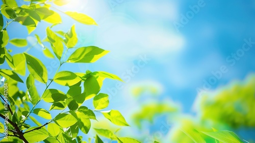 The Allure of a Blue Background: A Symphony of Serenity and Wonder,the blue background is a canvas of endless possibilities.