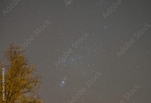 Astrofotografie, Sternenhimmel Aufnahme aus dem Krüger National Park  photo