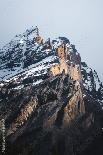 Mountain landscape with the top covered in snow and with large pine forests during a clear day