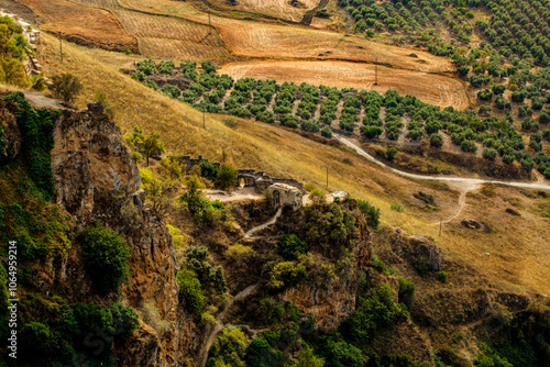 
A rustic, sunlit landscape featuring rocky cliffs and ancient ruins nestled among rolling, golden fields and rows of olive trees. Winding paths traverse the rugged terrain, adding depth to this seren