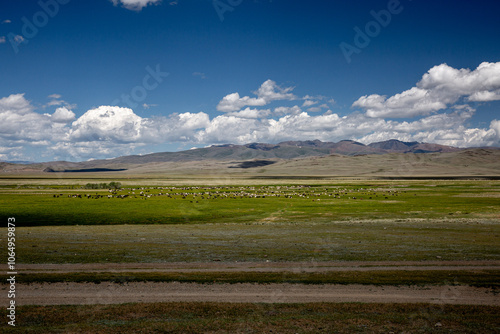 Huge herd of domestic animals in the horizon in front of hills, limited the steppe. Clouds like clumps of wool  in the sky  over hills photo