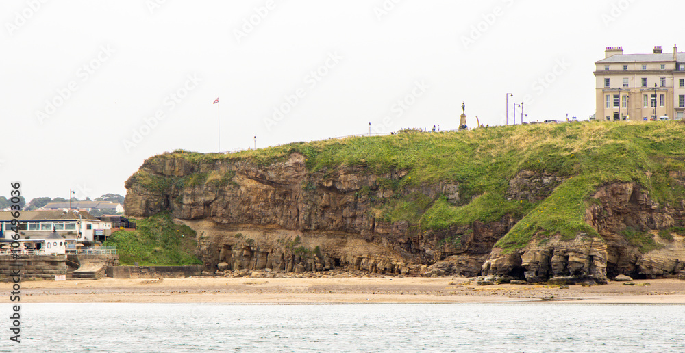 Naklejka premium Whitby Crocodile Is A Natural Made Animal Within The Side Of The Hillside