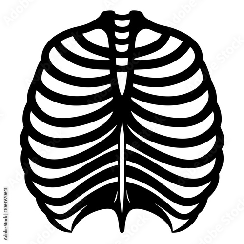 Ribcage Silhouette vector illustration