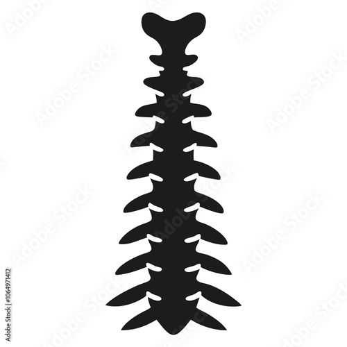 Spine Silhouette vector illustration