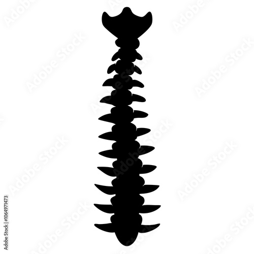 Spine Silhouette vector illustration