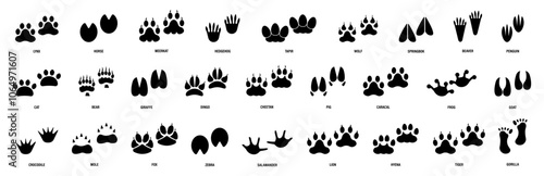 Set of black animal imprint icon. Black animal footprint