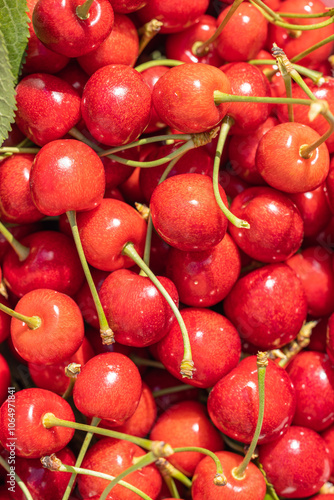 Fresh red cherries forming a vibrant and delicious background