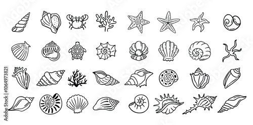 Shells doodle hand drawn style set. Outline seashells, starfish black outline sketch isolated elements on white background for design clipart template