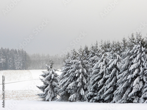 Feld und Wald, Winter photo