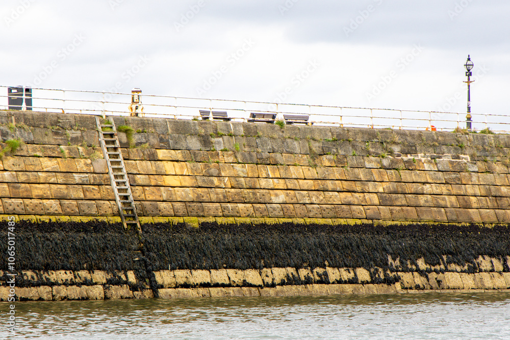 Fototapeta premium A Harbour Wall Ladder Giving Access To And From The Waters Below