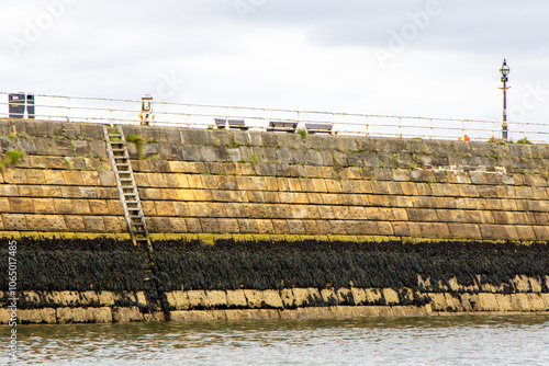 Wallpaper Mural A Harbour Wall Ladder Giving Access To And From The Waters Below Torontodigital.ca