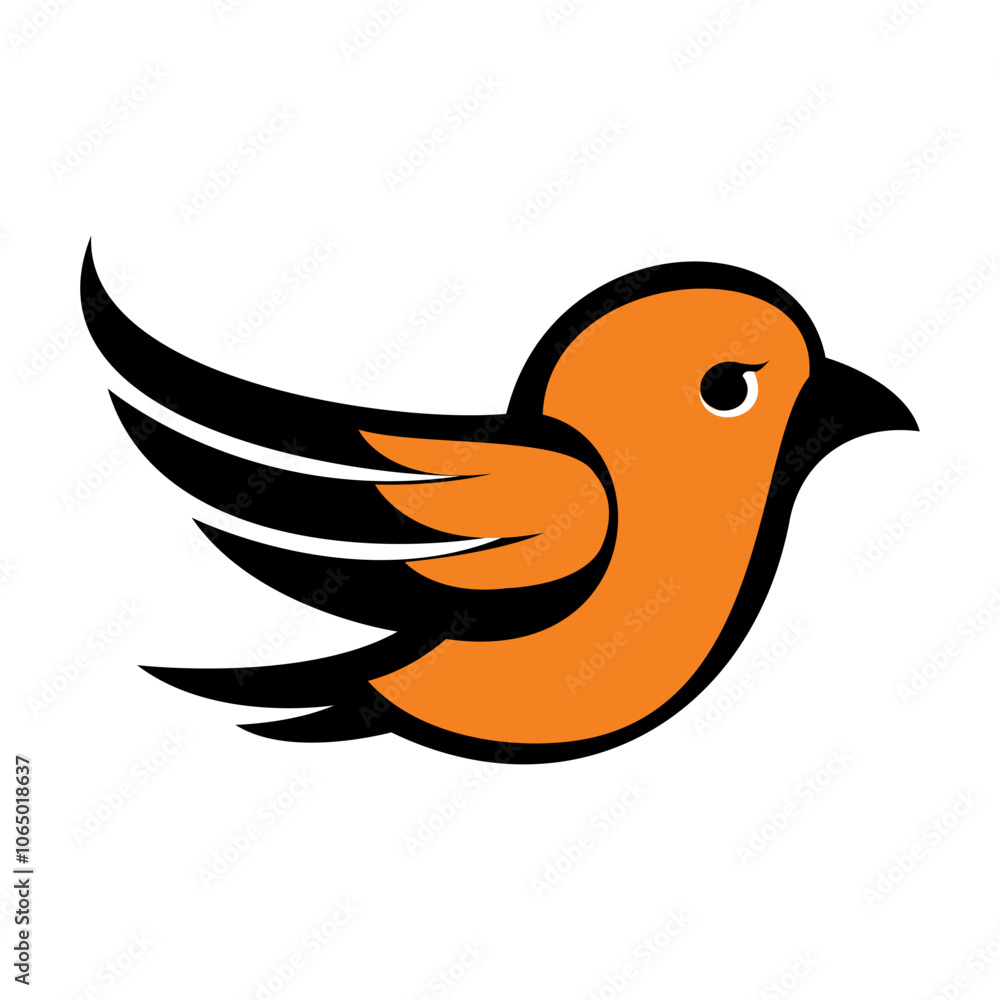 Beautiful small bird Beautiful small bird