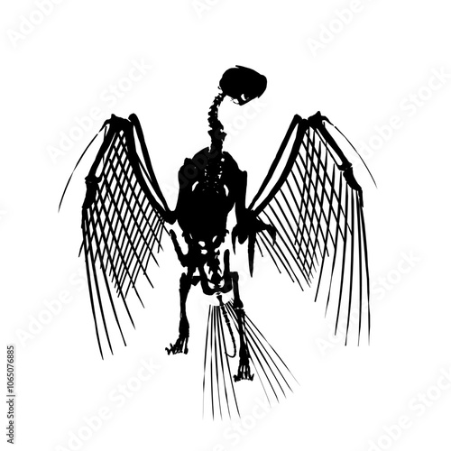 Vector antique engraving drawing illustration of silhouette bird skeleton isolated on white background. Detailed silhouette of the skeleton of an ancient bird.