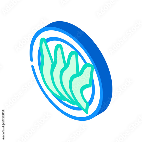 sliced avocado raw foodist isometric icon vector. sliced avocado raw foodist sign. isolated symbol illustration