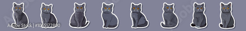 Vector sticker set of British shorthair blue cat. Grey cat with yellow eyes relaxing on white background. Vector happy silver British kitten portrait. British cooper eyes kitty cartoon.