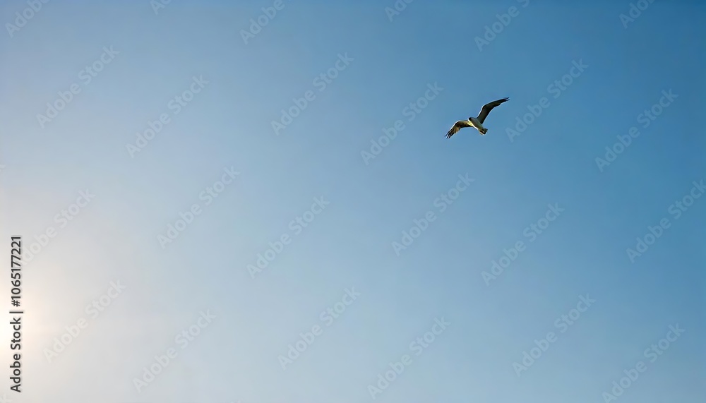 Obraz premium Open Blue Sky