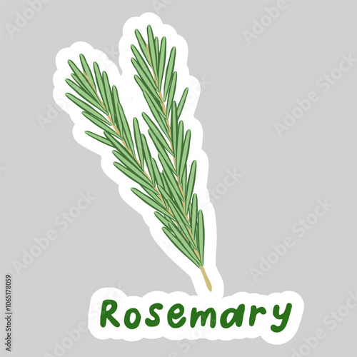 Sticker with branches of rosemary, healthy food icon, vector