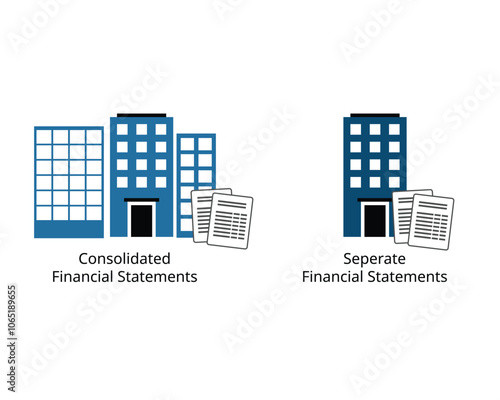 Consolidated financial statements and  separate financial statement reports