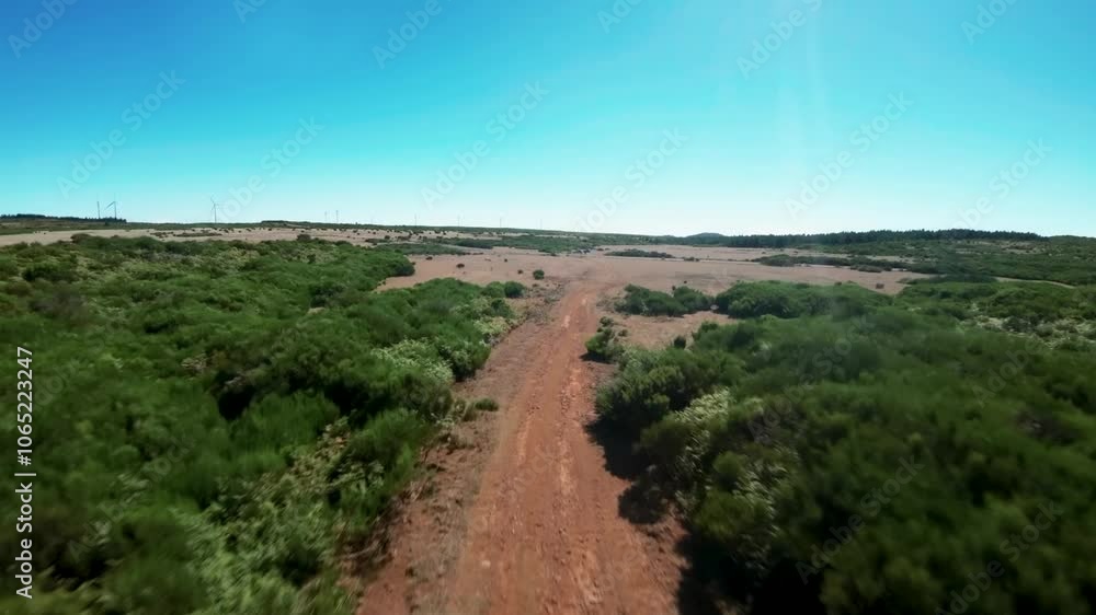 Aerial fpv video over the madeira fanal forest area Aerial fpv video over the madeira fanal forest area