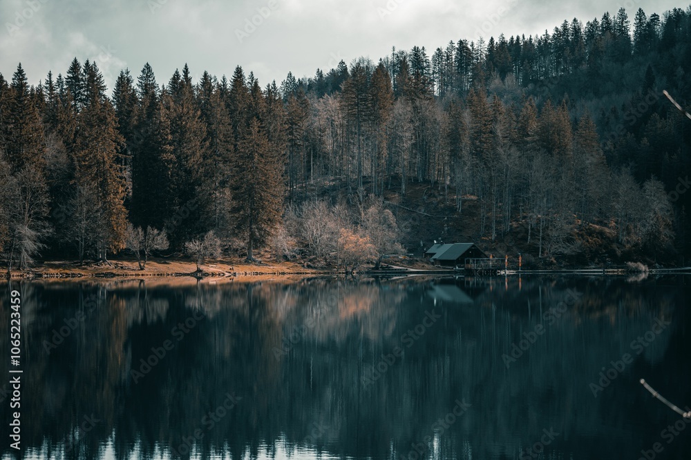 Obraz premium Serene forest landscape with cabin by calm lake.