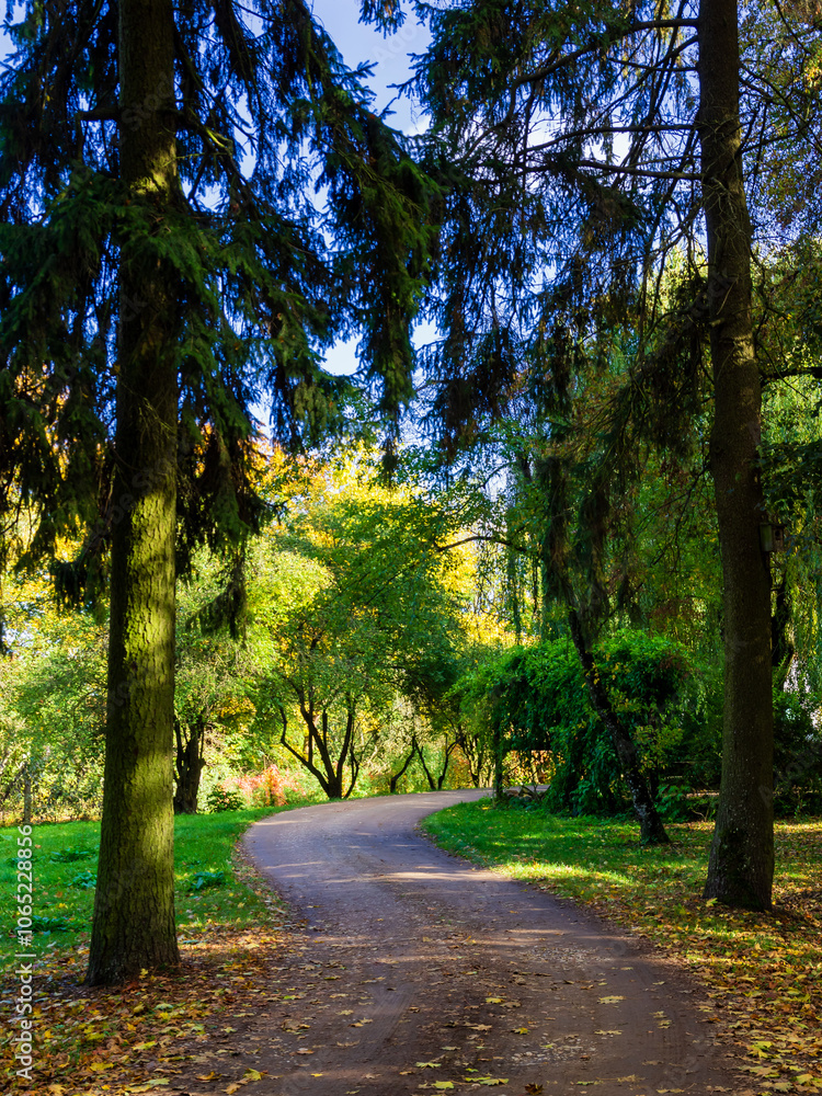 Jesień w Kurowie - Narwiański Park Narodowy - Podlasie, Polska