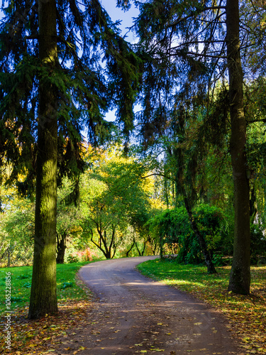 Jesień w Kurowie - Narwiański Park Narodowy - Podlasie, Polska