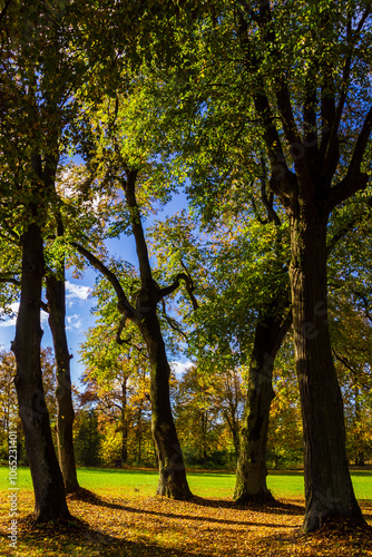 Obraz na płótnie Jesień w Kurowie - Narwiański Park Narodowy - Podlasie, Polska w salonie