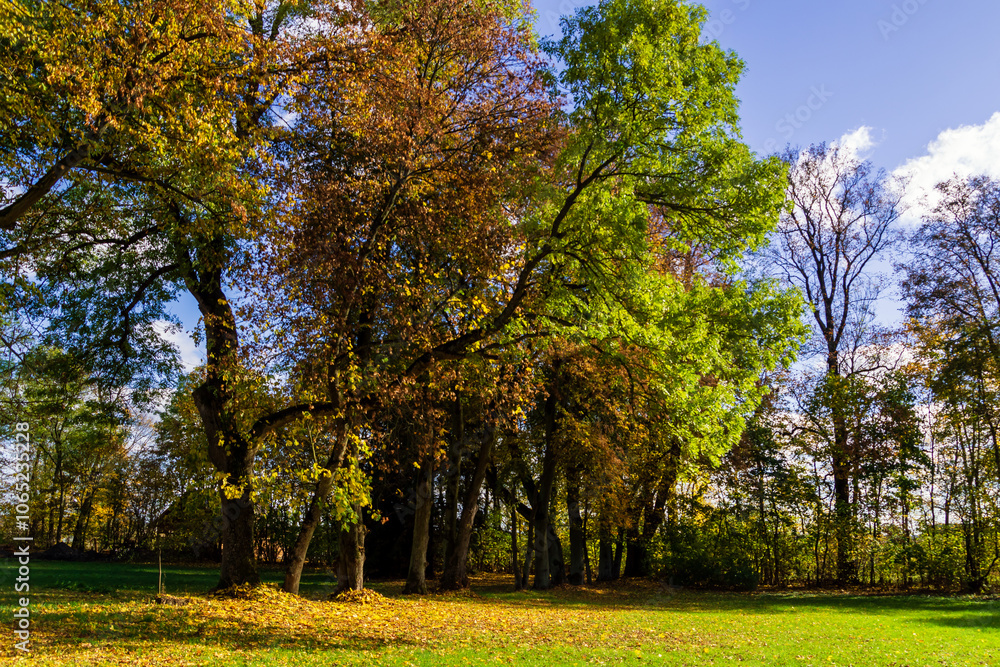 Jesień w Kurowie - Narwiański Park Narodowy - Podlasie, Polska