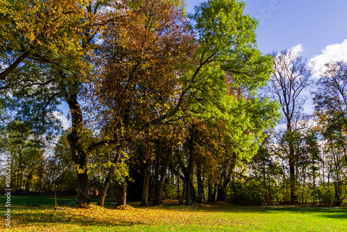Obraz na płótnie Jesień w Kurowie - Narwiański Park Narodowy - Podlasie, Polska w salonie
