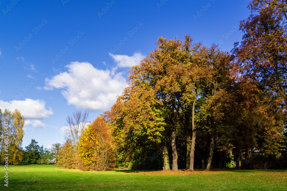 Jesień w Kurowie - Narwiański Park Narodowy - Podlasie, Polska