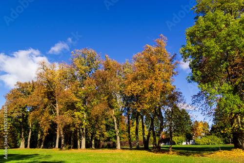 Jesień w Kurowie - Narwiański Park Narodowy - Podlasie, Polska