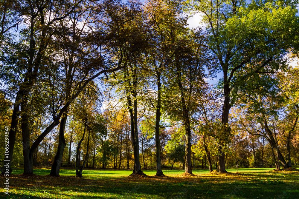 Jesień w Kurowie - Narwiański Park Narodowy - Podlasie, Polska