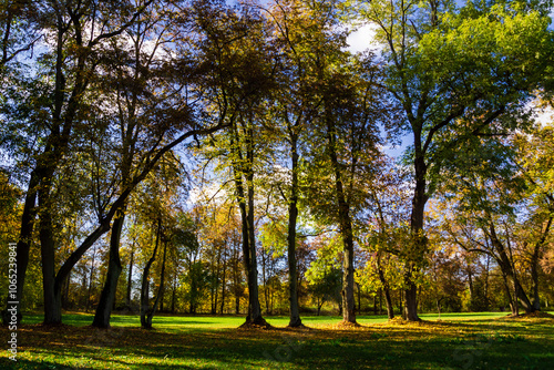 Obraz na płótnie Jesień w Kurowie - Narwiański Park Narodowy - Podlasie, Polska w salonie