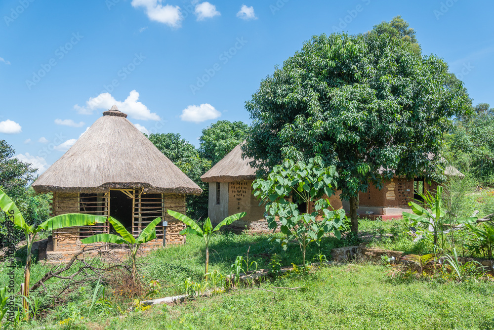 Obraz premium African thatchedroof hut is in the middle of a lush green field, Kakamega Forest