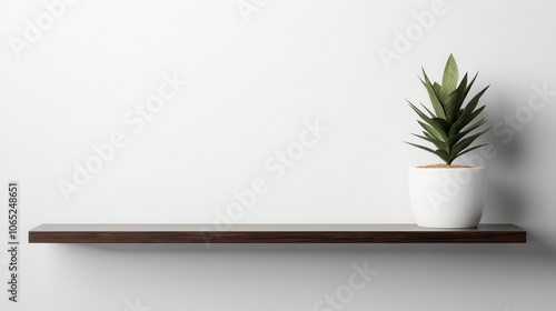 Wallpaper Mural Modern Oak Wall-Mounted Shelf with Decorative Plant Torontodigital.ca