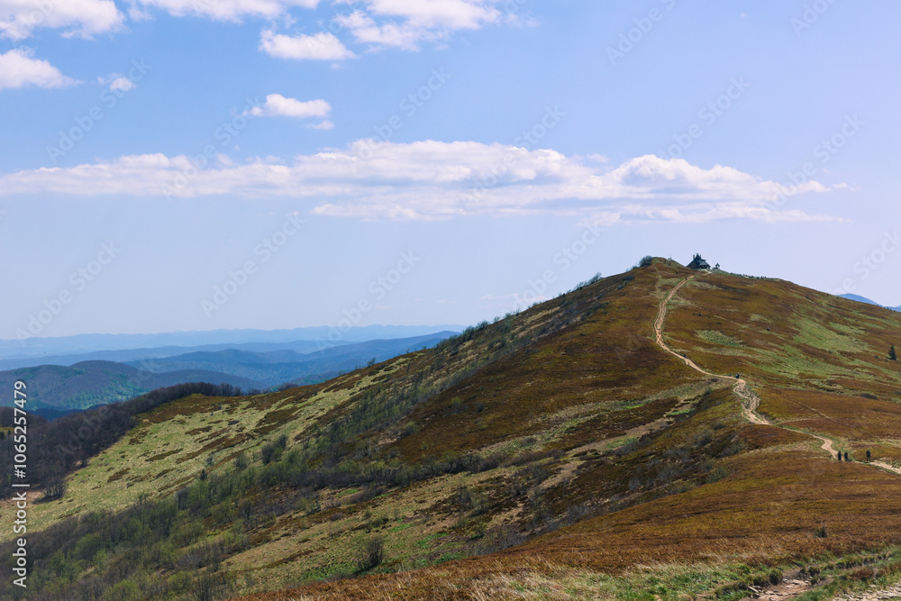 Fototapeta premium landscape with blue sky