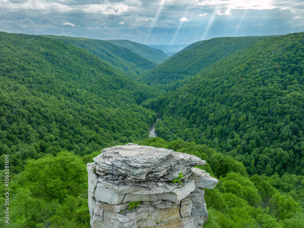 Lindy Point Overlook in Blackwater Falls State Park