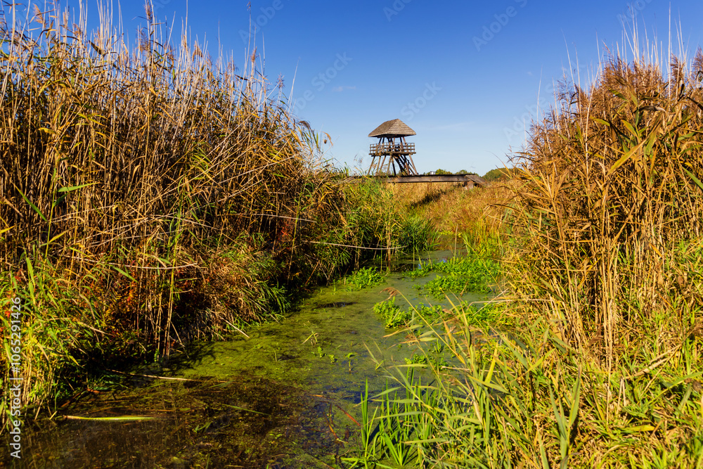 Jesień w Topilcu nad Narwią, Podlasie, Polska