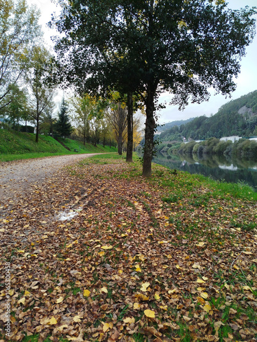 Penacova Portugal, Autumn on the banks of the Mondego River photo