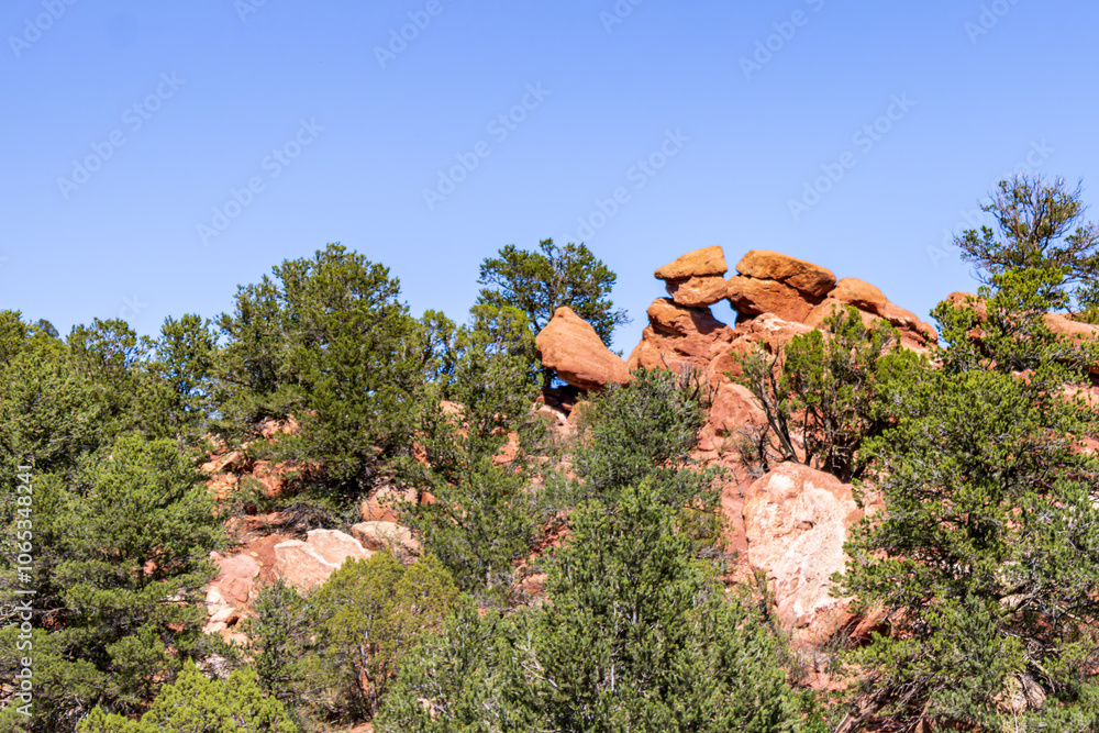 Serene Colorado Forest with Signature Red Rock Formations