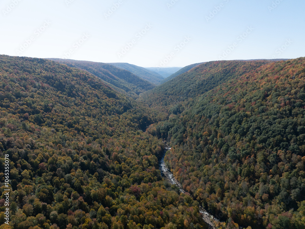 Lindy Point Overlook in Blackwater Falls State Park