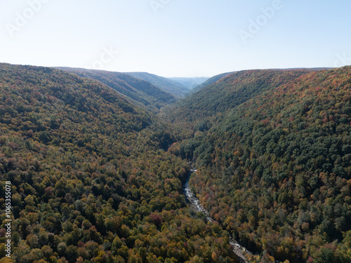 Obraz na płótnie Lindy Point Overlook in Blackwater Falls State Park w salonie