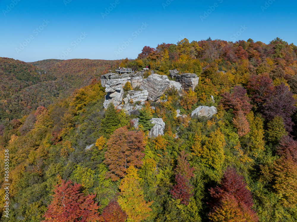 Lindy Point Overlook in Blackwater Falls State Park