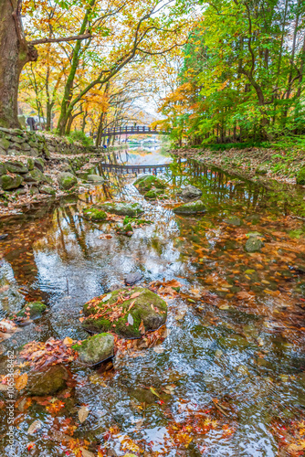 Autumn scenery of Baekyang Temple Valley in Jangseong-gun, Jeollanam-do, Korea, is colored with beautiful autumn leaves photo