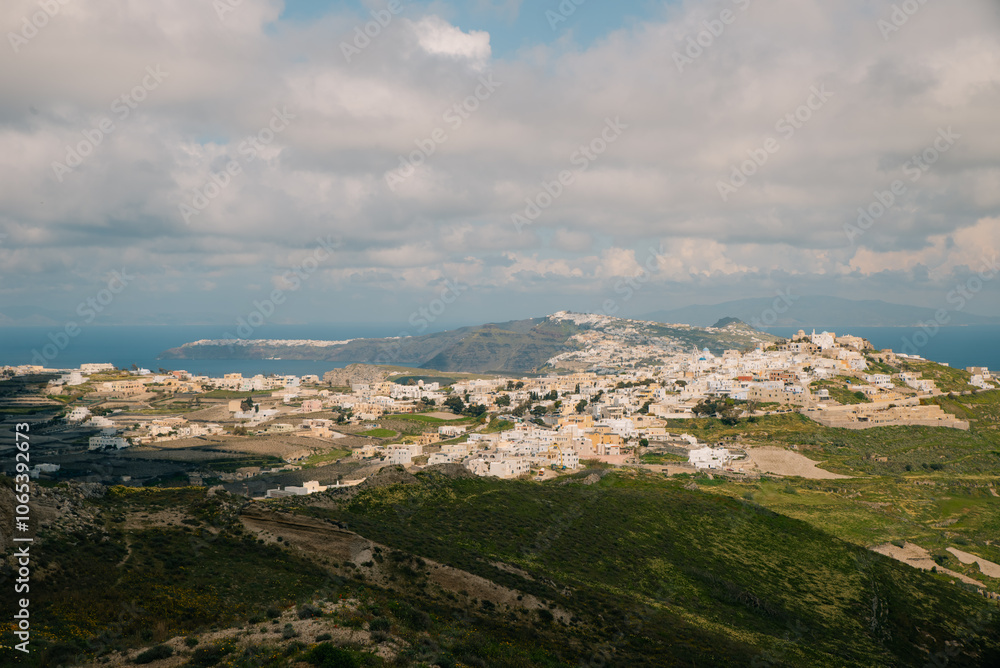 Obraz premium Sunrise Wildflowers on Santorini island, greece